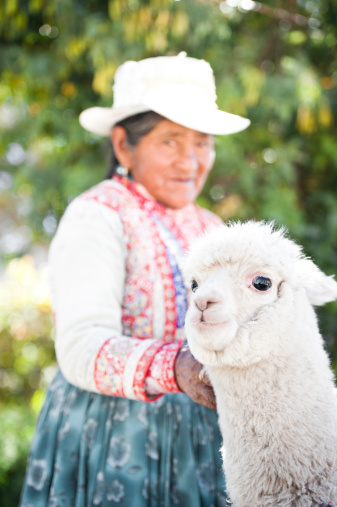 A Peruvian woman with her Alpaca.More like this: