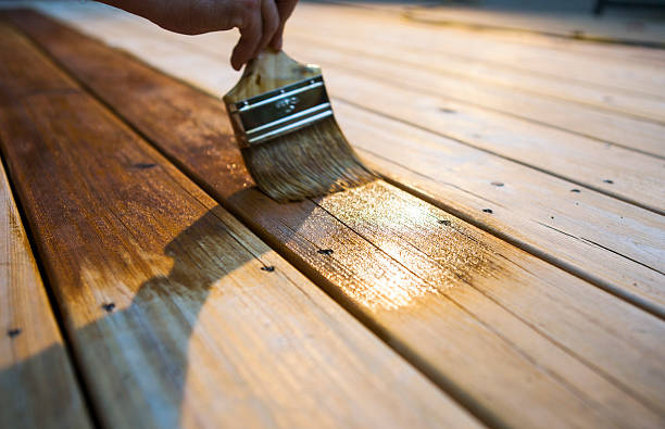 Male Carpenter Applying Varnish To Wooden Deck stock photo