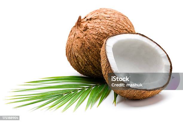 Cocos Folhas De Palmeira - Fotografias de stock e mais imagens de Coqueiro - Coqueiro, Coco, Fundo Branco