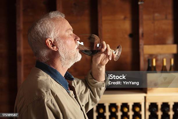 Studio Dei Produttori Di Vino E Degustazione Di Vino In Cantina Orizzontale - Fotografie stock e altre immagini di Abilità