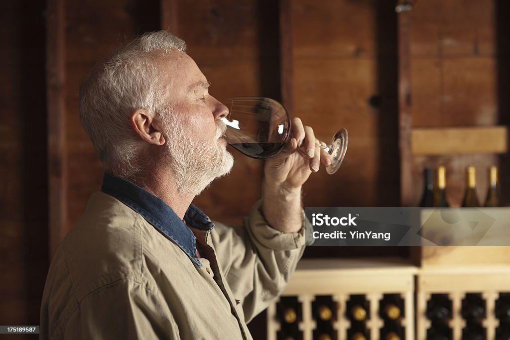 Winemaker estudar e degustação de vinhos na adega Horizontal - Foto de stock de Adega - Característica arquitetônica royalty-free