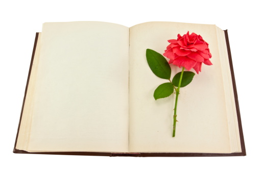 Open book with Rose on white background.