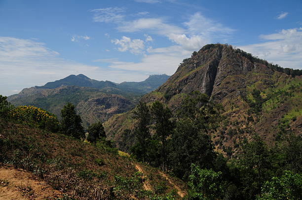 istock Ella,Hill country, Sri Lanka. 175189643
