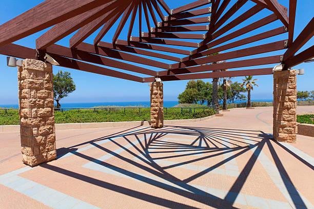 abstrato estrutura de madeira na netanya, israel - fractal clear sky tree sky imagens e fotografias de stock