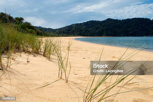 Totaranui Beach Abel Tasman National Park Neuseeland Stockfoto und mehr Bilder von Abel Tasman-Nationalpark