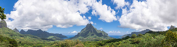 moorea de observação de belvedere - pihaena imagens e fotografias de stock