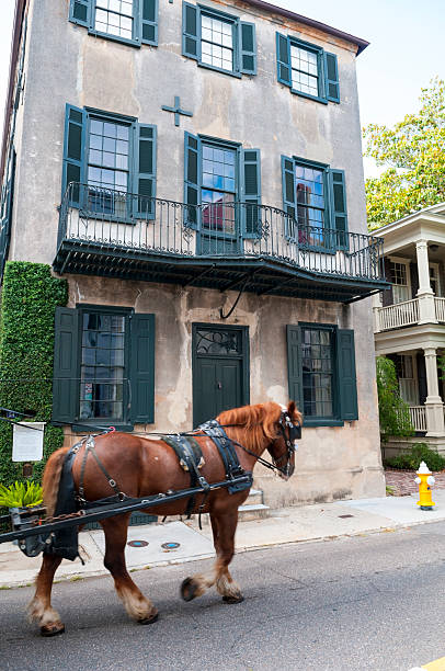 istock Draft horse pulling carriage in Charleston South Carolina 175190730