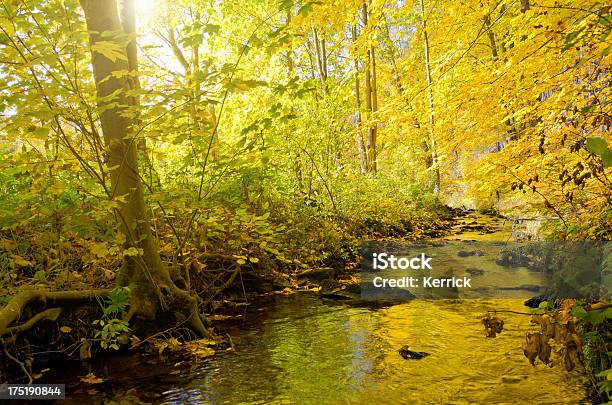 Stream Im Wald Im Herbstmuhltal Stockfoto und mehr Bilder von Bach - Bach, Baum, Bewegung