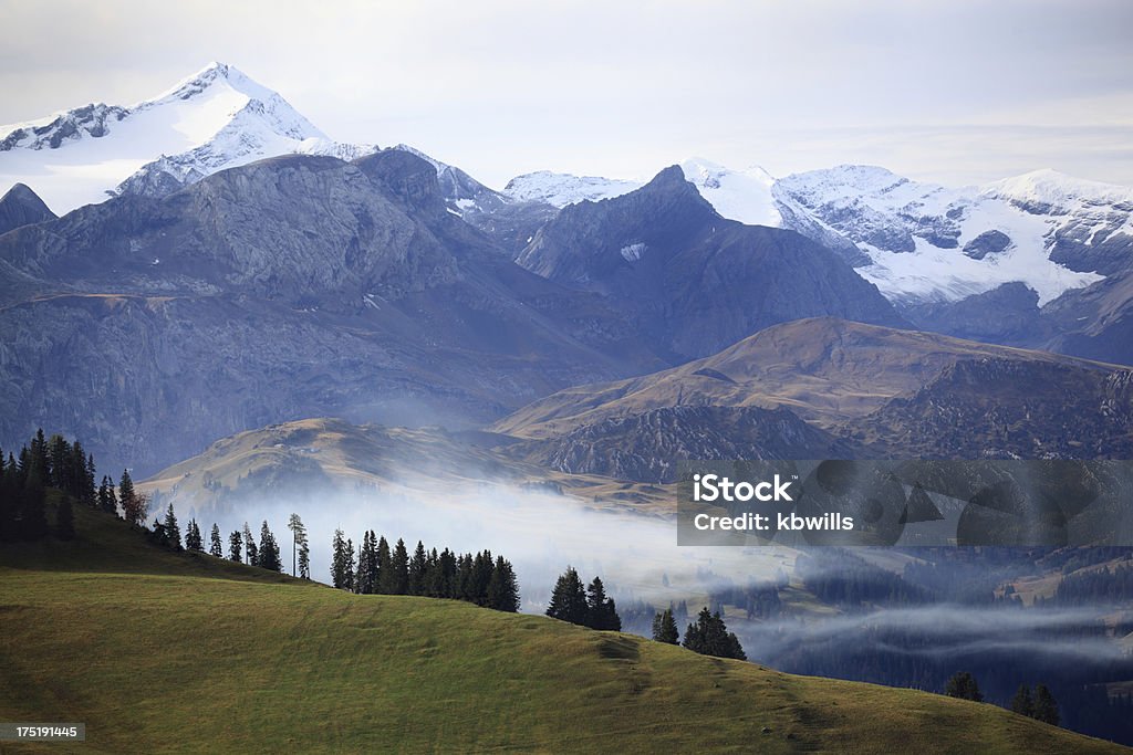Деревья meadows Возвышенности небо и облака в солнечном Швейцарские Альпы - Стоковые фото Без людей роялти-фри