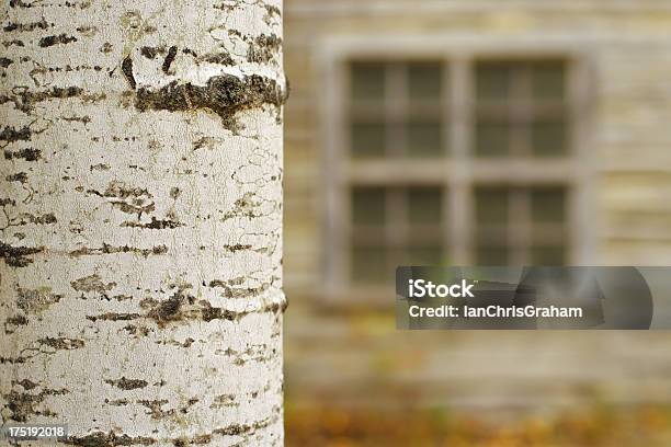 Ventana Foto de stock y más banco de imágenes de Arquitectura exterior - Arquitectura exterior, Cabaña de madera, Canadá