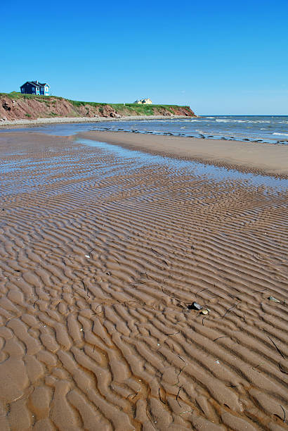 Beach in Magdalen Islands "Beach in Magdalen Islands, Quebec.  The Magdalen Islands (les de la Madeleine) form a small archipelago in the Gulf of Saint Lawrence. Though closer to Prince Edward Island and Nova Scotia, the islands form part of the Canadian province of Quebec." gulf of st lawrence photos stock pictures, royalty-free photos & images