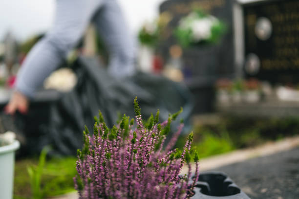 istock Graveyard preparation, gravesite care, planting flower 1751922770