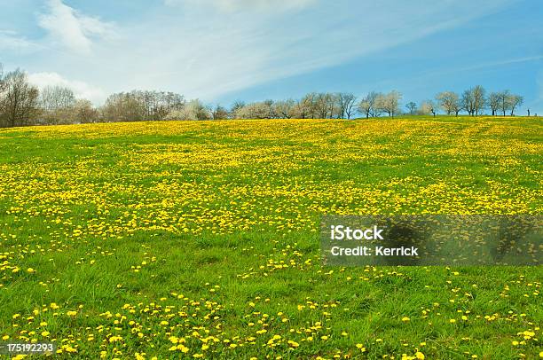 Wiesam Rand Auf Stockfoto und mehr Bilder von Agrarbetrieb - Agrarbetrieb, Anhöhe, Baum