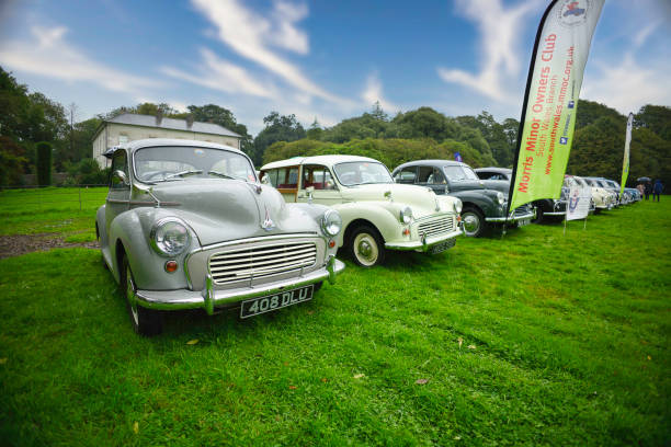 Pembrokeshire, United Kingdom - September 10, 2023: Morris Minor cars - known as 'Moggies' and built in England from 1948 until 1972, photographed at a rally at Scolton Manor, Pembrokeshire, Wales, to celebrate the 75th Anniversary of the marque.