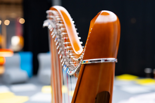 harp detail shot