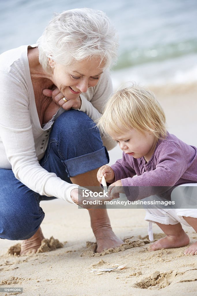 Grandmother And Granddaughter Looking at Shell On Beach Grandmother And Granddaughter Looking at Shell On Beach Together Smiling Grandparent Stock Photo