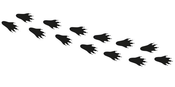 Beaver Track Icon 10,400+ Beaver Stock Illustrations, Royalty-Free Vector Graphics & Clip ...