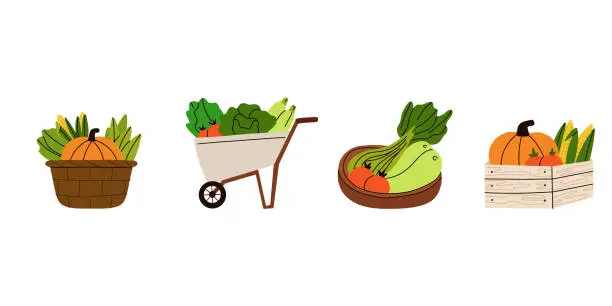 Vector illustration of Vegetables. Grocery products in eco package, box and bag, trolley and basket. Modern shopper with fresh organic healthy vegetarian food. Local market. Autumn harvest cartoon flat vector illustration
