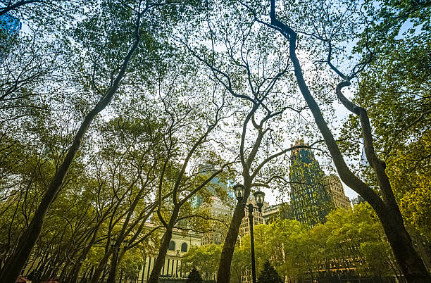 istock Bryant Park and New York City skyline 175194057