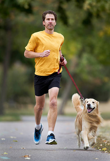 istock Jogger and Golden Retriever Running on a Paved Trail. 175194100