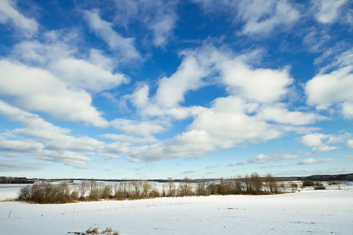 Landscape - lonely trees on the field, winter time. Blue sky and white clouds, Poland Europe