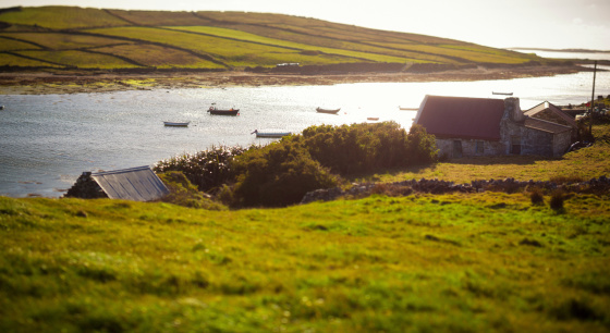 Waterfront houses in the countryside of Ireland.
