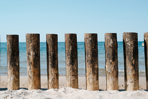 Wooden poles of breakwater on seashore on sunny summer day, close-up.