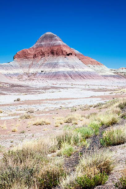 istock The Tepees at Petrified Forest National Park 175195331
