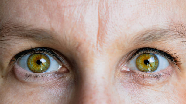 istock Green eyes with eyelash and light brown iris with a reflection of light 1751955082