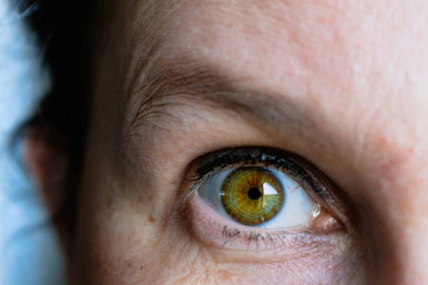 istock Green eyes with eyelash and light brown iris with a reflection of light 1751955083