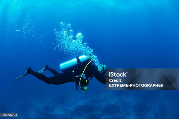 Mergulho Autónomo - Fotografias de stock e mais imagens de Ao Ar Livre - Ao Ar Livre, Aqualung - Equipamento de Mergulho, Barbatana - Equipamento de Mergulho