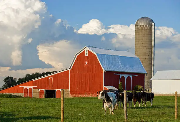 Photo of Red barn, silo, milk cows, and beautifully clouded sky