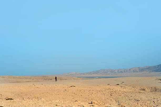 solo nel deserto - heat haze illusion desert heat foto e immagini stock