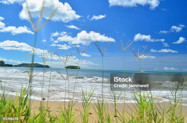 Photo libre de droit de Plage Exotique Et Herbe banque d'images et plus d'images libres de droit de Bahamas - Bahamas, Tourisme vert, Antilles occidentales