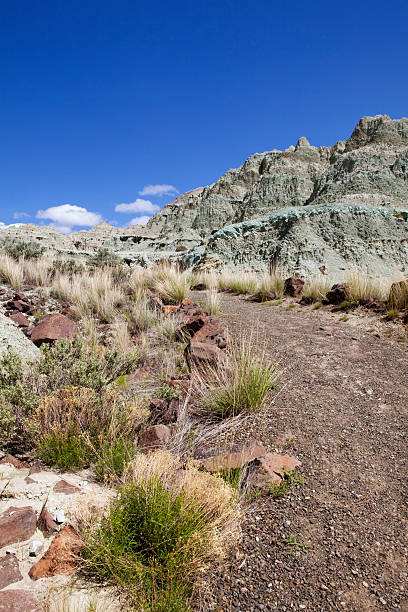 istock Blue Basin at John Day Fossil Beds National Monument 175196809