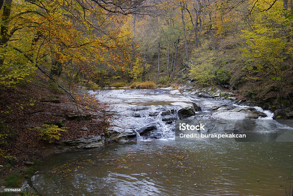 Widok piękny creek w jesień, Igneada, Turcja - Zbiór zdjęć royalty-free (Biały)