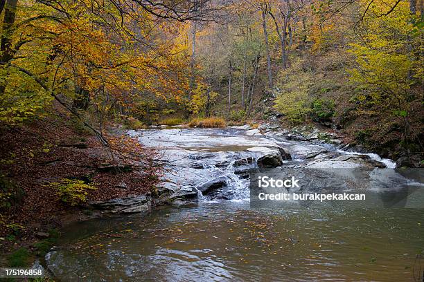 Widok Piękny Creek W Jesień Igneada Turcja - zdjęcia stockowe i więcej obrazów Biały - Biały, Czerwony, Czysty