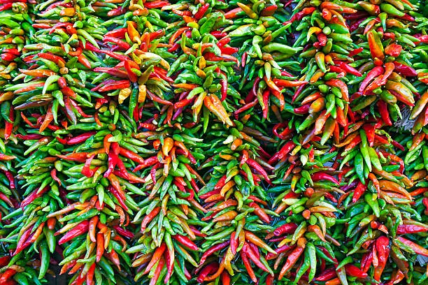 "Neatly arranged Thai Peppers, Jalepeno Peppers, and Serrano Peppers in local market."