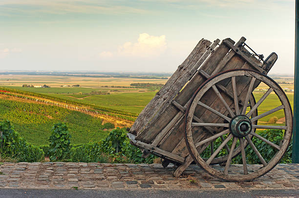 Champagne vineyards in Cramant Late summer vineyards of a Premiere Cru area of France showing the lines of vines in the background and diagonal vines in the foreground. The village of Cramant is in the foreground with an old wooden cart used to transport grape harvests to the factory. cramant stock pictures, royalty-free photos & images