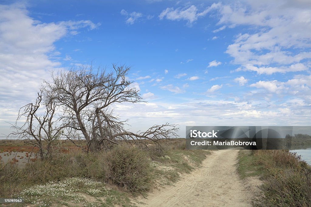 camargue - Royalty-free Ao Ar Livre Foto de stock