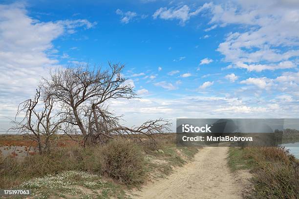 Camargue - Fotografias de stock e mais imagens de Ao Ar Livre - Ao Ar Livre, Areia, Beleza natural