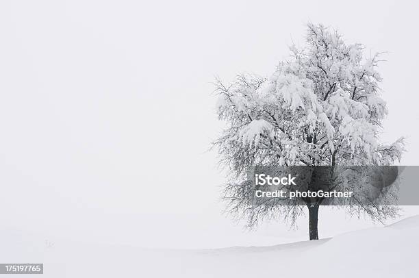 Foto de Inverno Cartão Postal e mais fotos de stock de Alto contraste - Alto contraste, Beleza, Beleza natural - Natureza