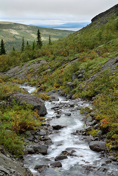 Mountain river in canyon of Khibiny Mountains stock photo