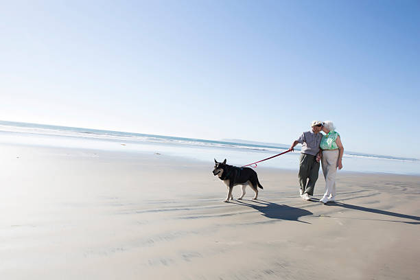 istock Seniors kissing 175198554