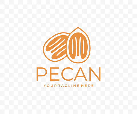 Pecan nut, nutty, food, meal, plant and nature, graphic design. Fruit, kernel, seed, nourishment, eating and eat, vector design and illustration