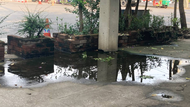istock Water stagnant from rain that is stuck next to a plant pot. 1751989764