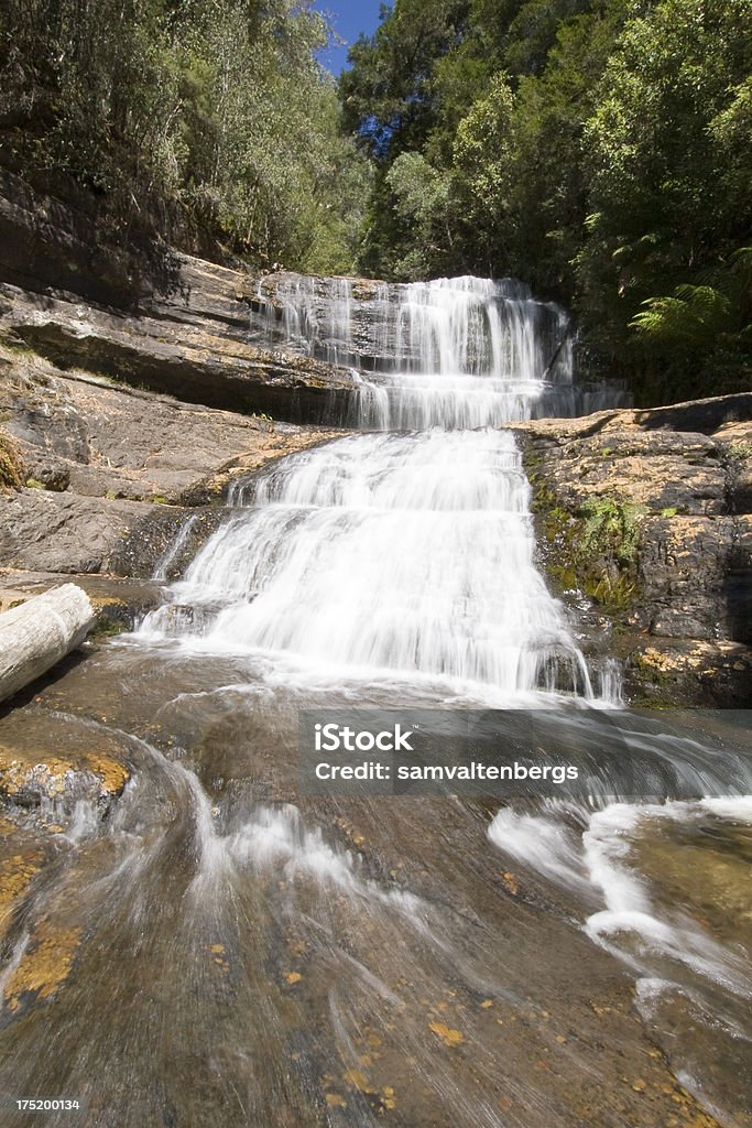 Lady Barron Falls - Foto de stock de Actividad libre de derechos