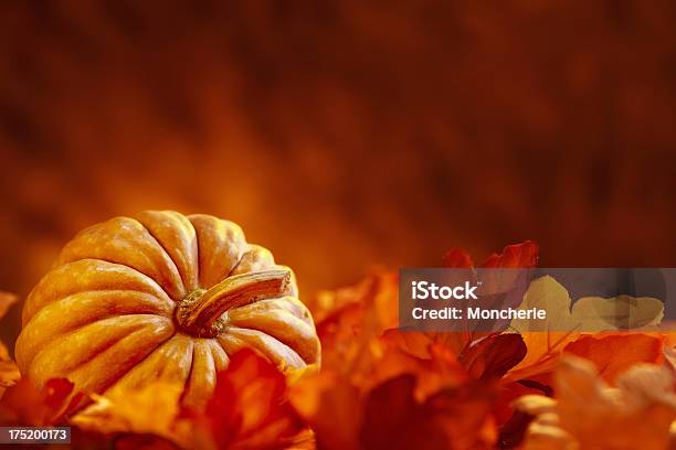Jesień Dekoracja - zdjęcia stockowe i więcej obrazów Jesień - Jesień, Tło, Bez ludzi