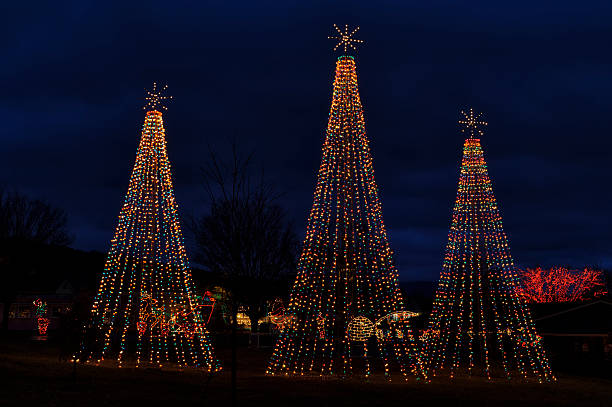 Christmas tree outline in holiday decoration lights against dark night sky.