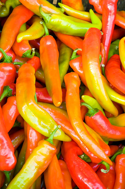istock Colorful hot peppers at a market stall 175201040